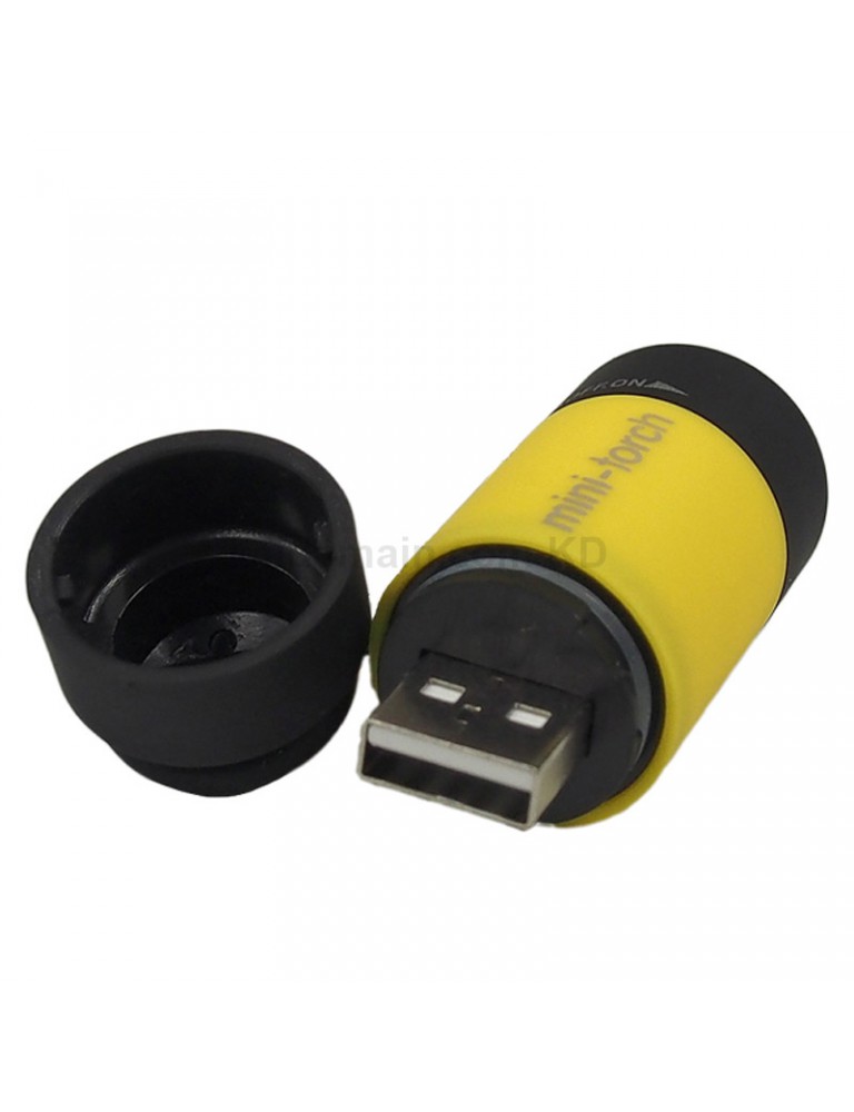 Mini Torch 25 Lumens USB Rechargeable LED Keychain